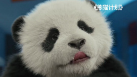 a大片大片网y